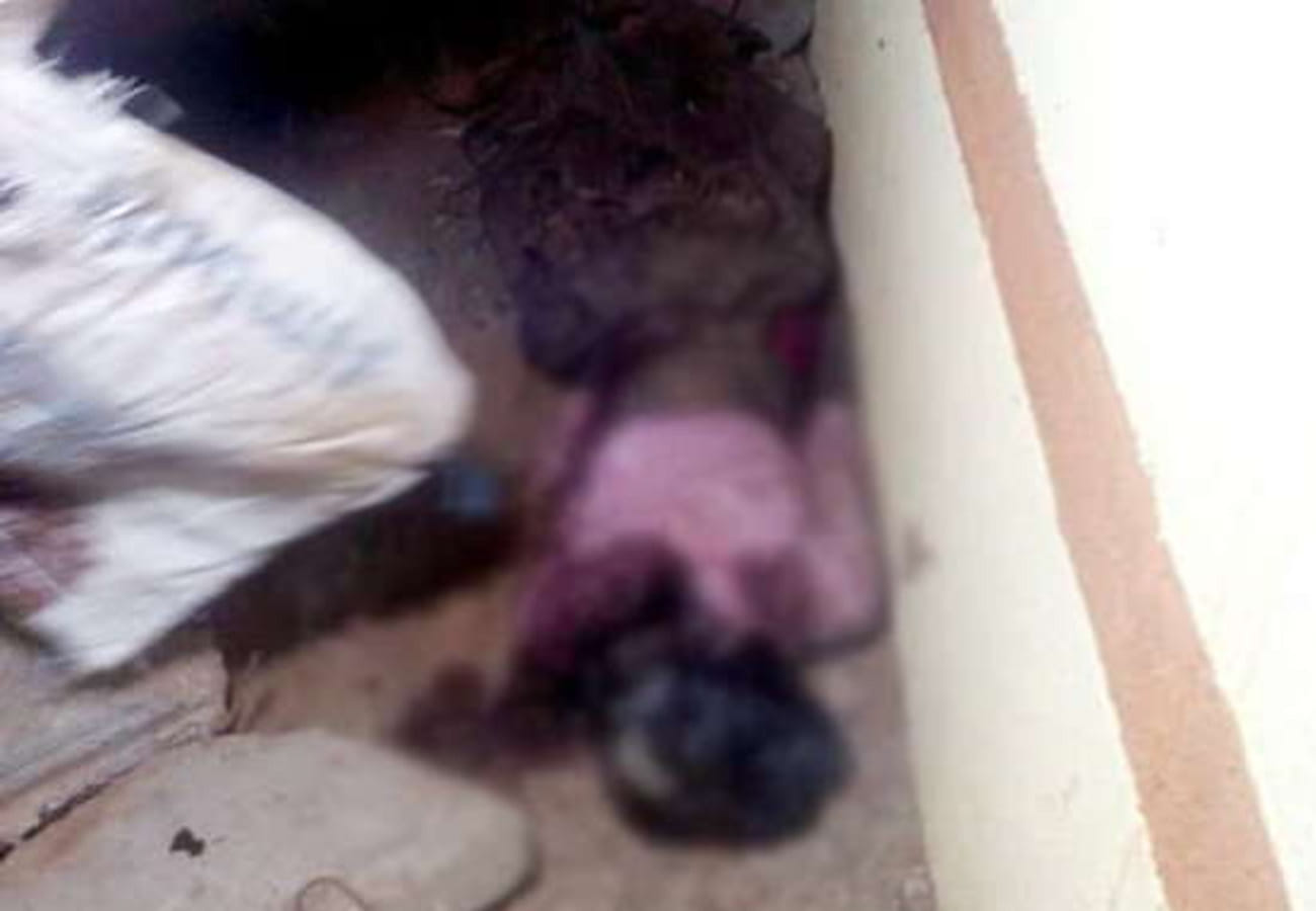 Young man murder by his Brother in kanpur ghatampur