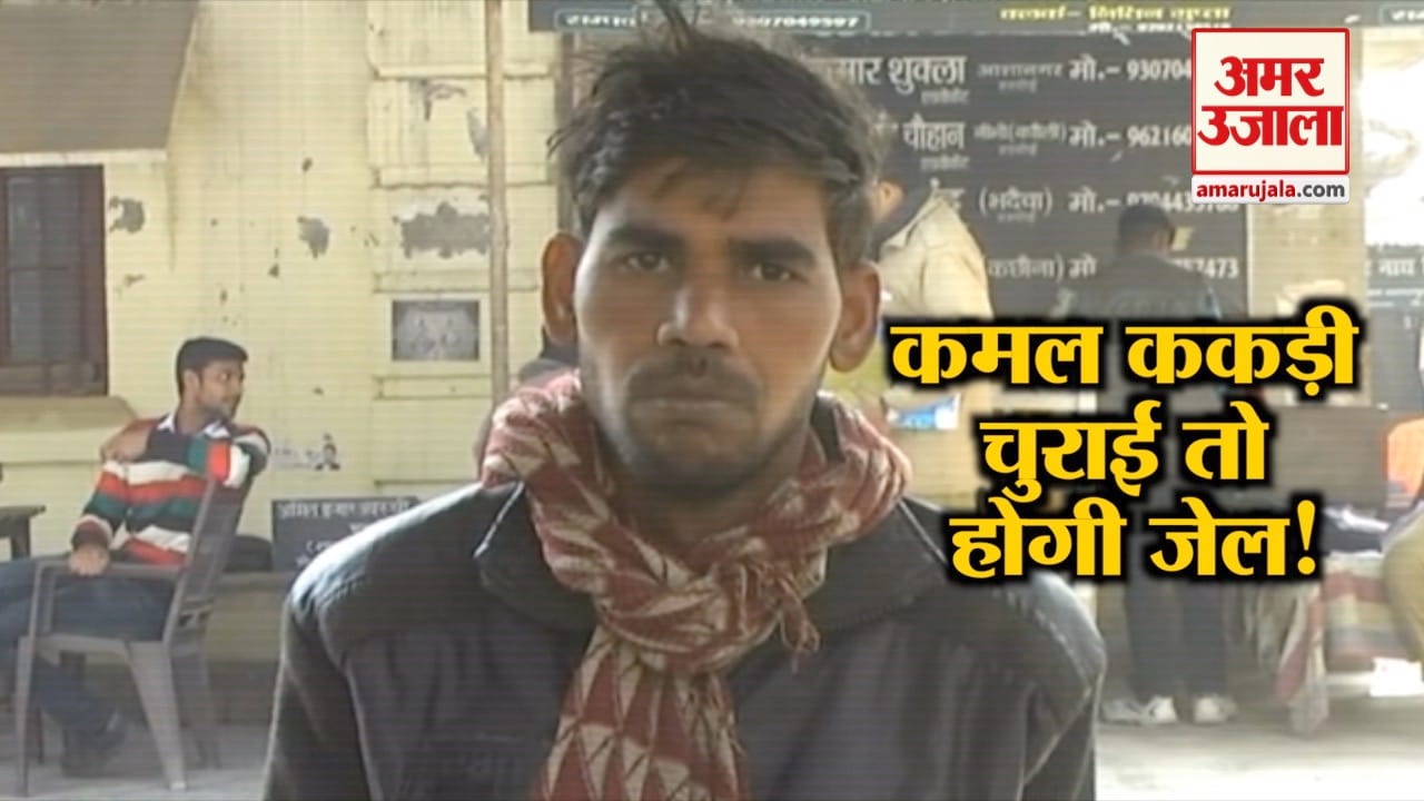 हरदाई