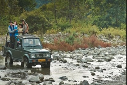 new year celebration in jim corbett with beautiful weather