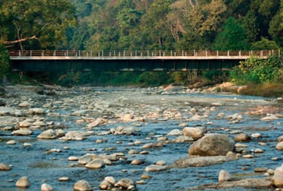 new year celebration in jim corbett with beautiful weather