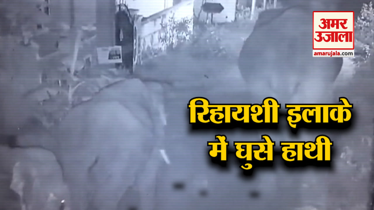 हाथी