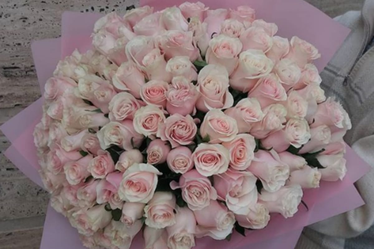 flowers demand increase on New Year price getting high look at these pictures