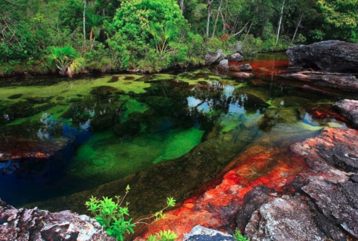 colombia river of five colours know the more