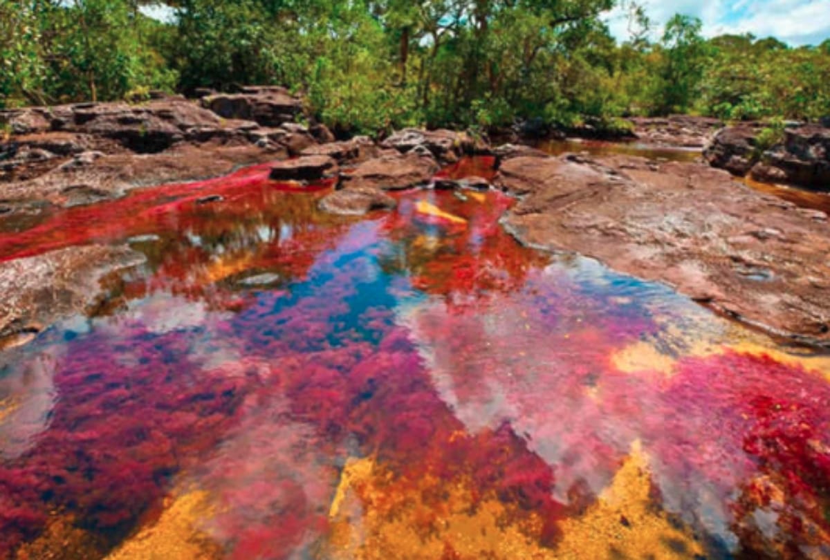colombia river of five colours know the more