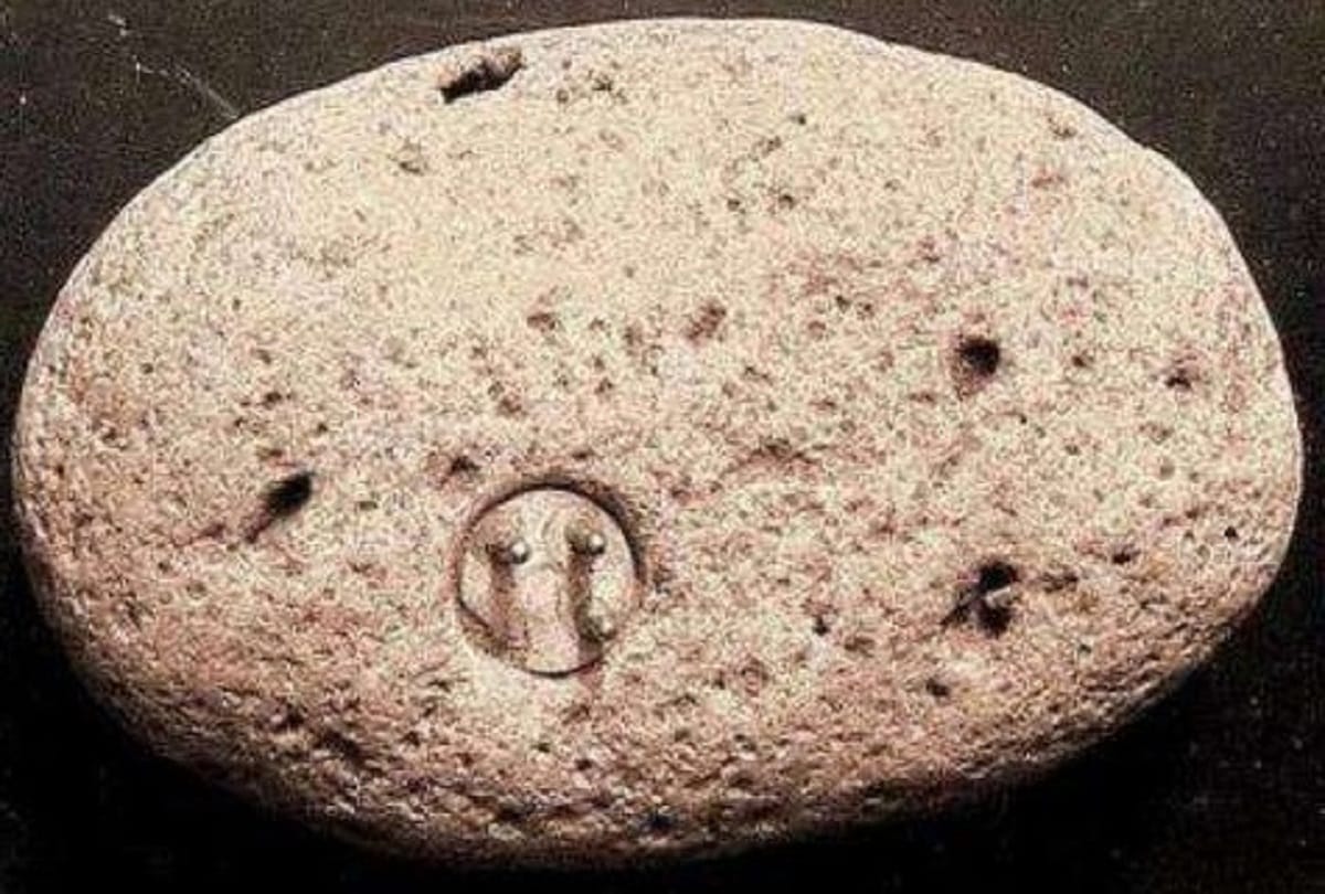 Scientist was surprised to find these mysterious things found during excavation
