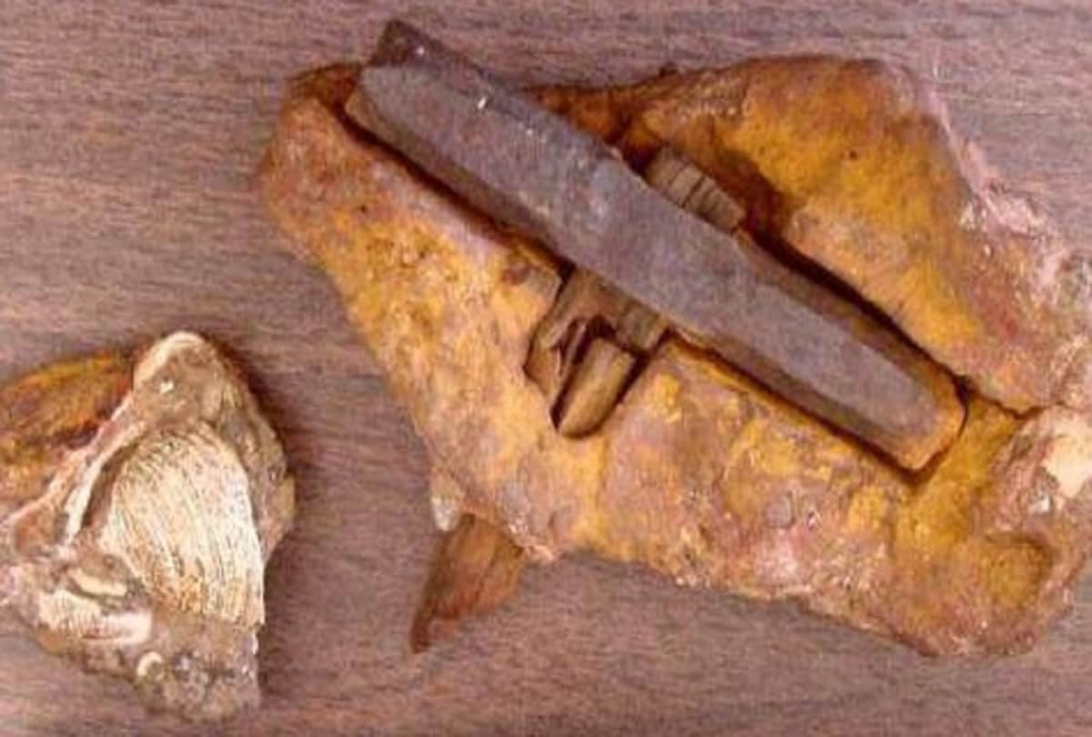 Scientist was surprised to find these mysterious things found during excavation