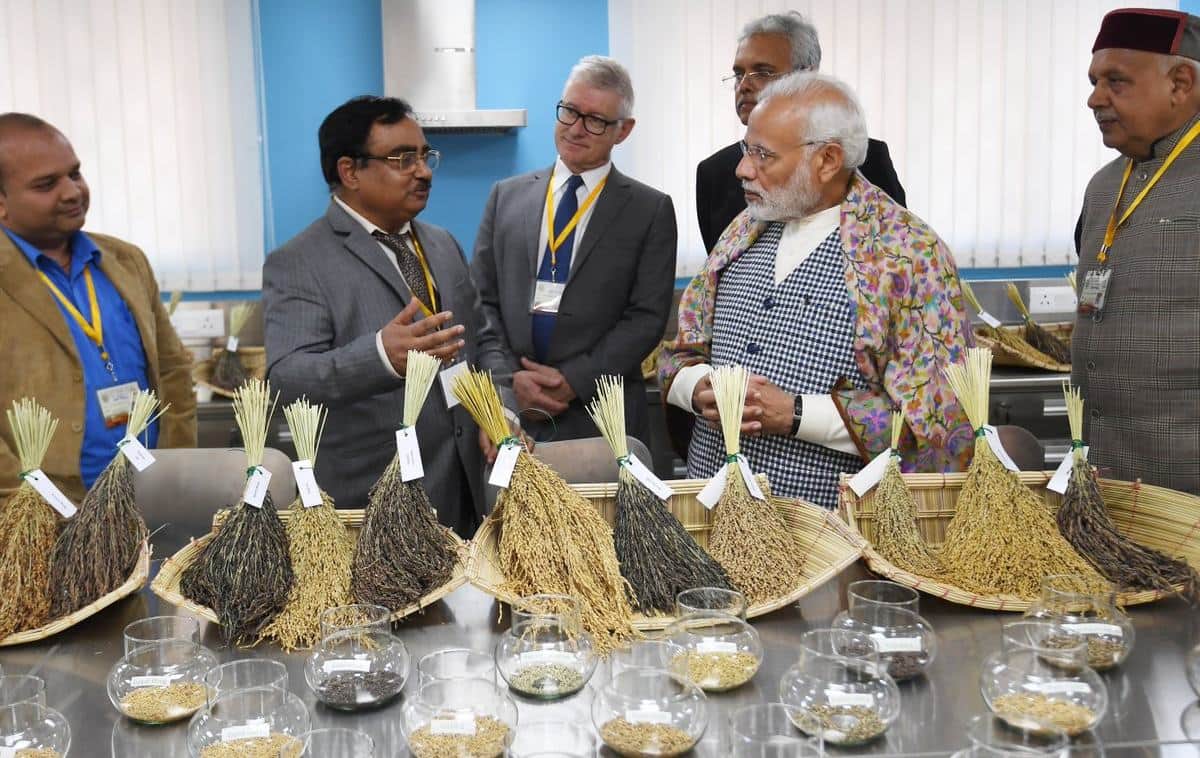 PM narendra modi tweet four photos related international rice research institute