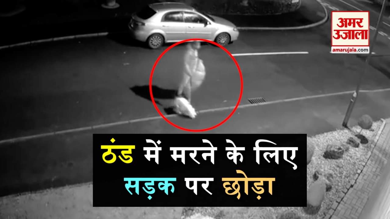 डिजाइन पिक्चर