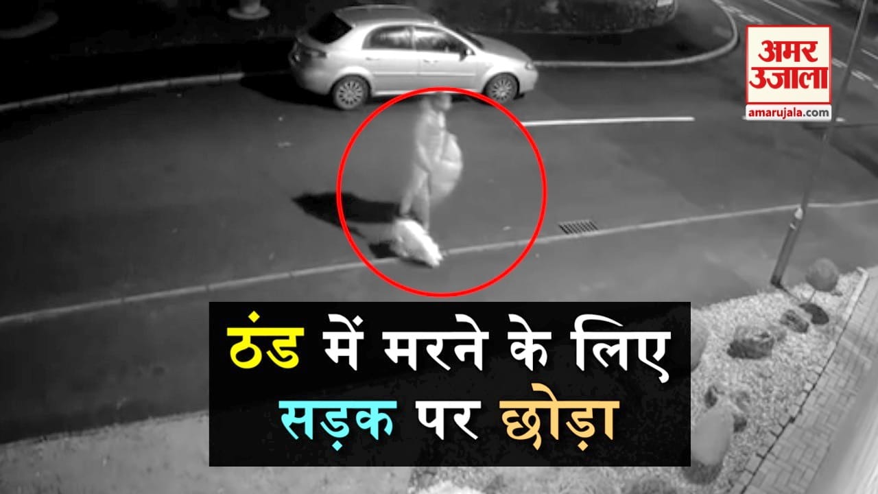 डिजाइन पिक्चर