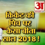 क्रिकेट