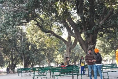 Students troubled by monkeys at Punjab University in chandigarh