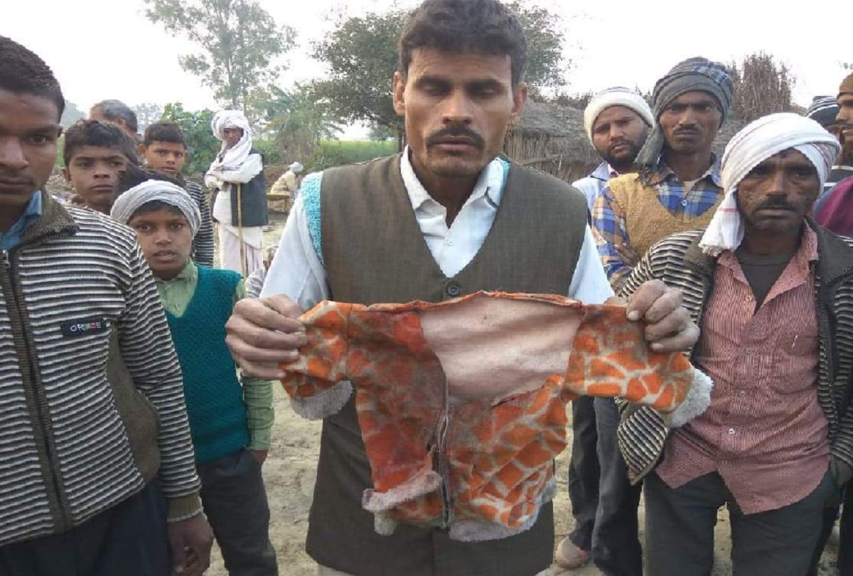 animal eaten baby in front of his mother in sambhal