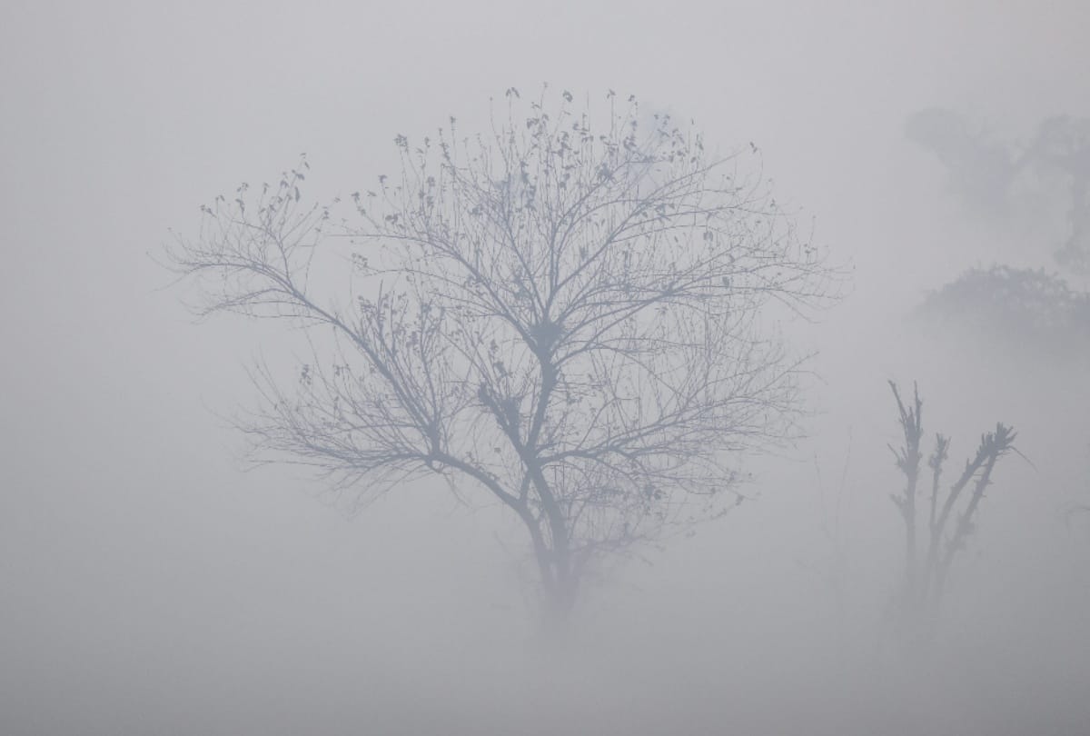 weather update: weather will change from 11 december in Haryana