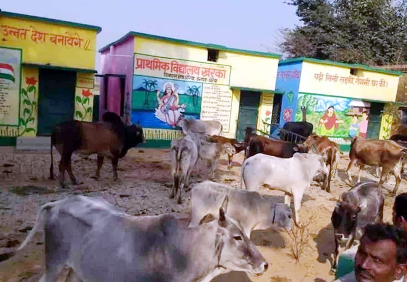 Farmers angry from loss of crops