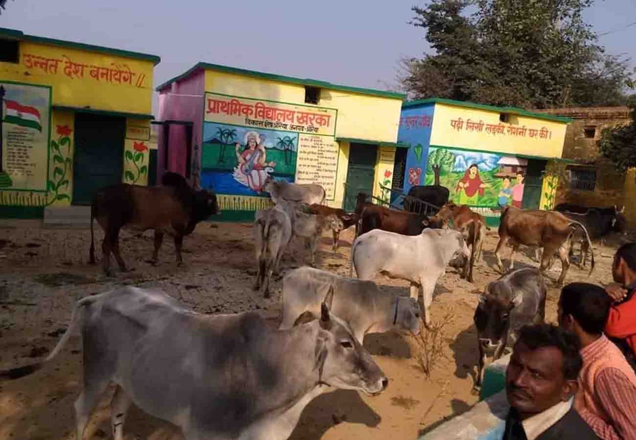 farmers closed cattle at school after crop waste in auraiya