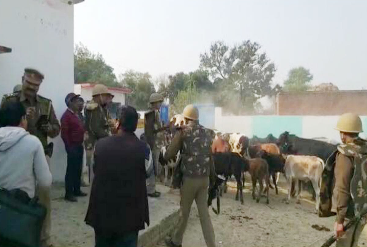 anger villagers stone pellets on police over stray govansh in firozabad