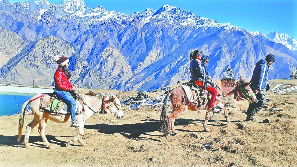 New year 2019 celebration in auli and nainital photos