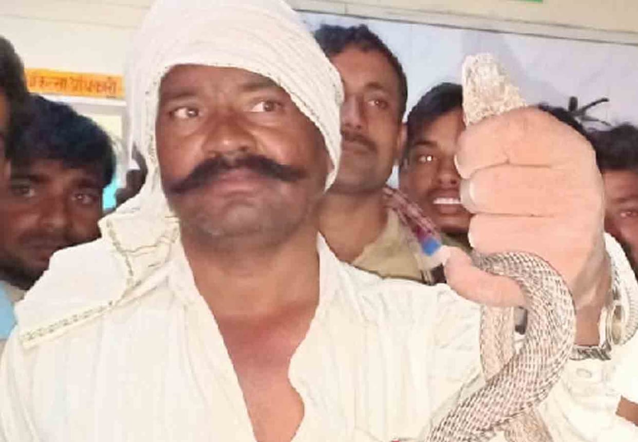 farmer reached to hospital with snake