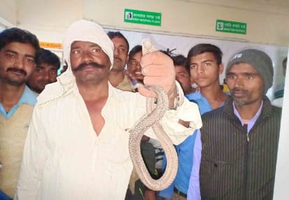 farmer reached to hospital with snake