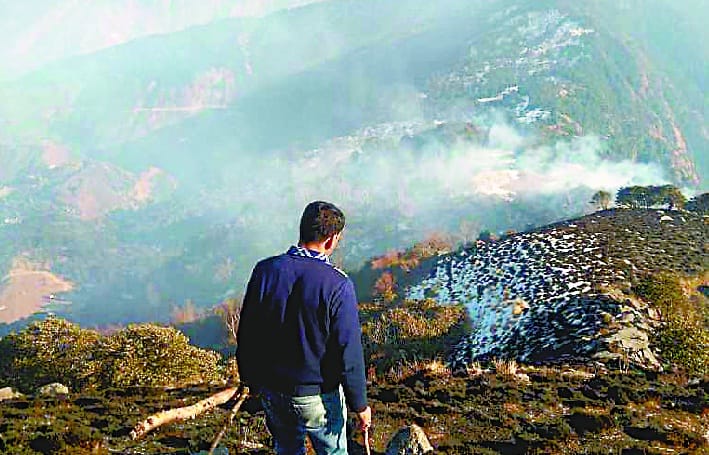 5.50 hectare area affected by fire