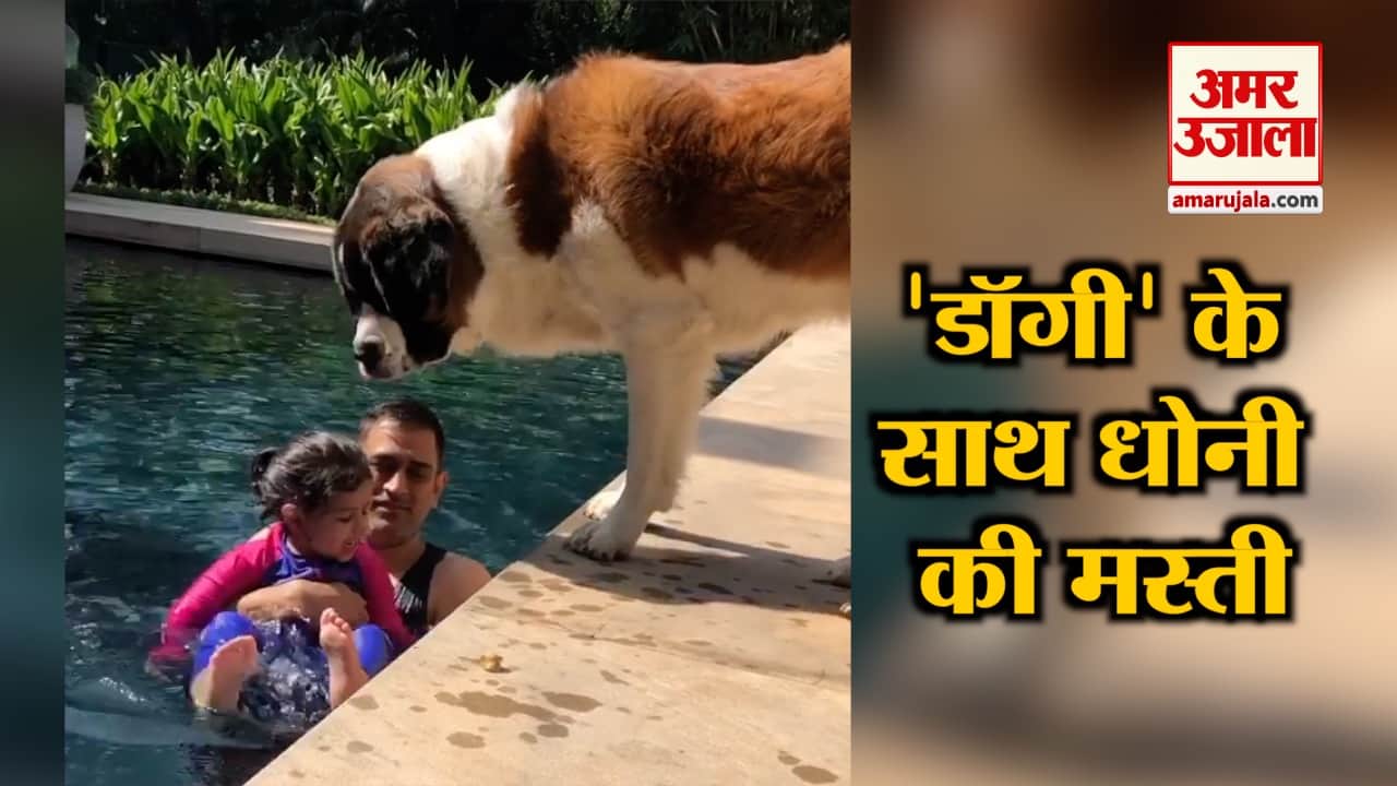 नेशनल न्यूज