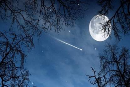 कार्तिक पूर्णिमा 2021