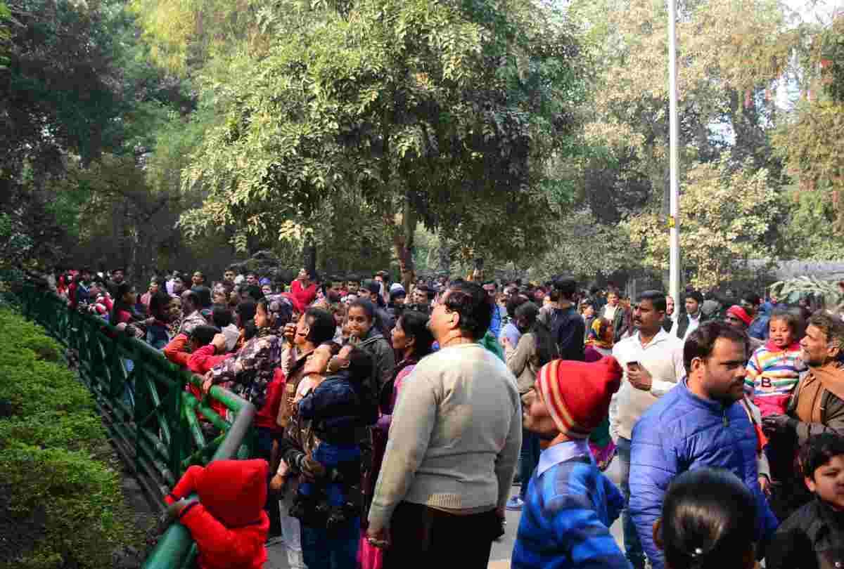 People enjoyed in parks on first day of new year