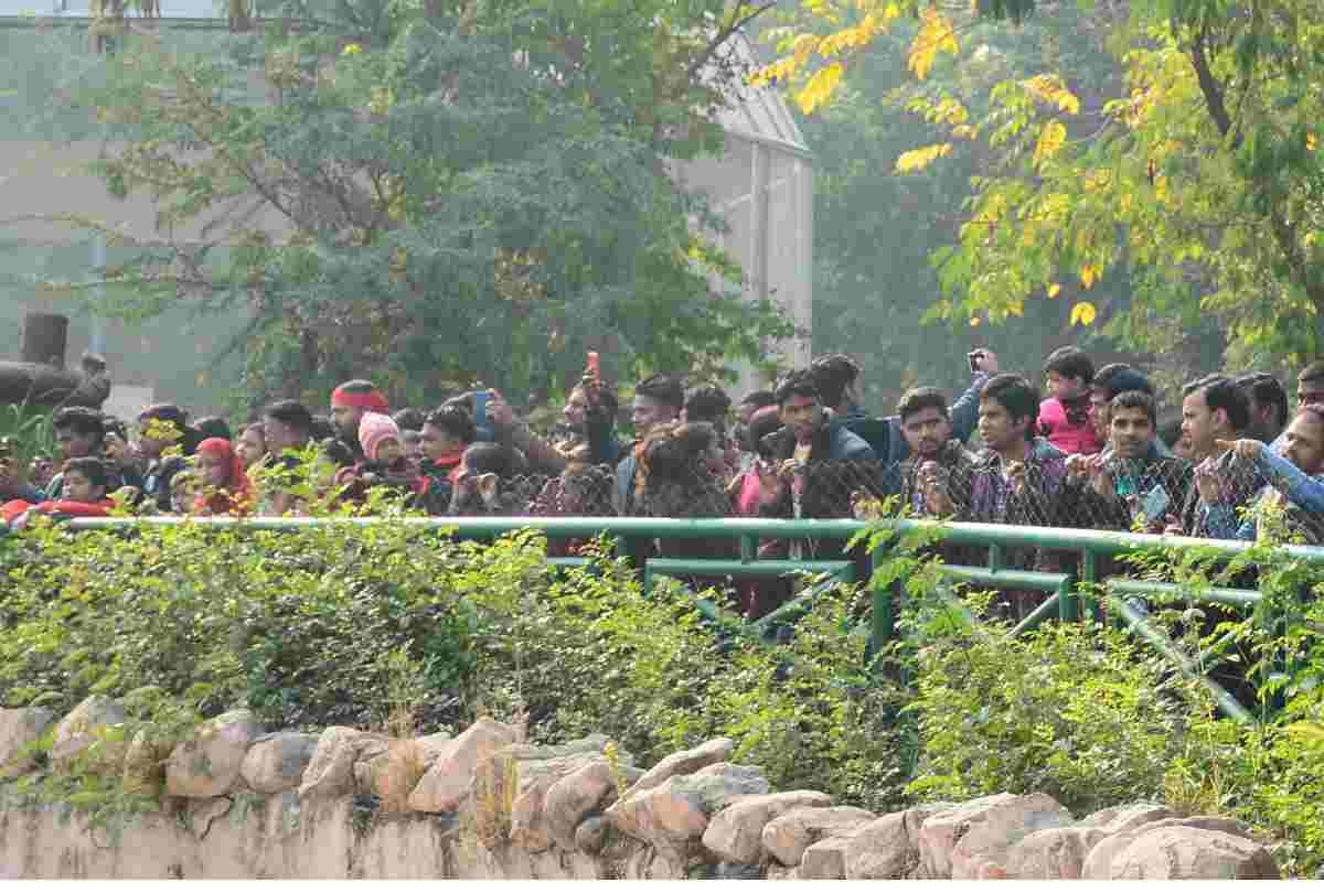 People enjoyed in parks on first day of new year