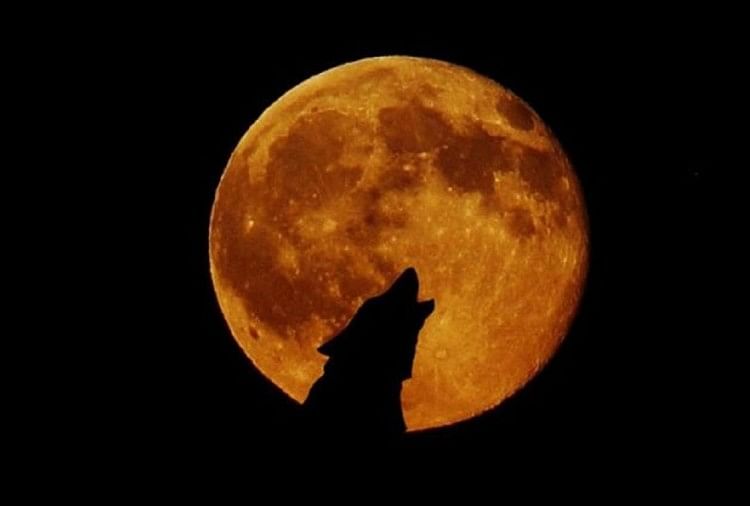 Super Blood Wolf Moon Eclipse