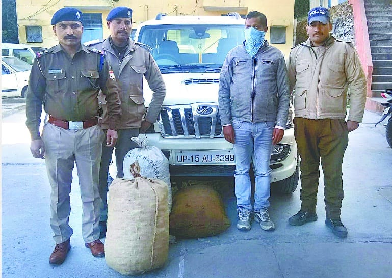 One caught in Almora