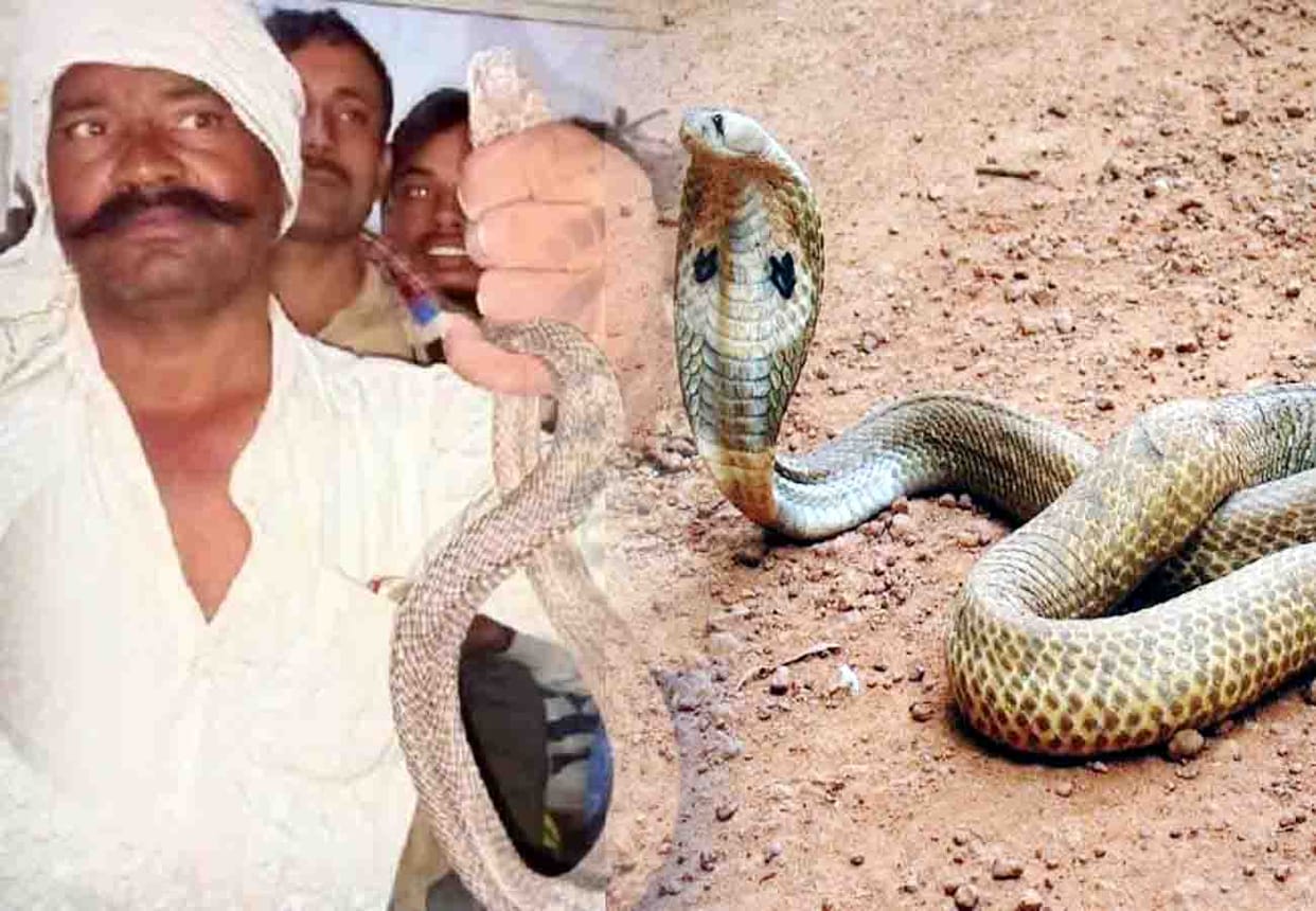 farmer reached to hospital with snake kannauj