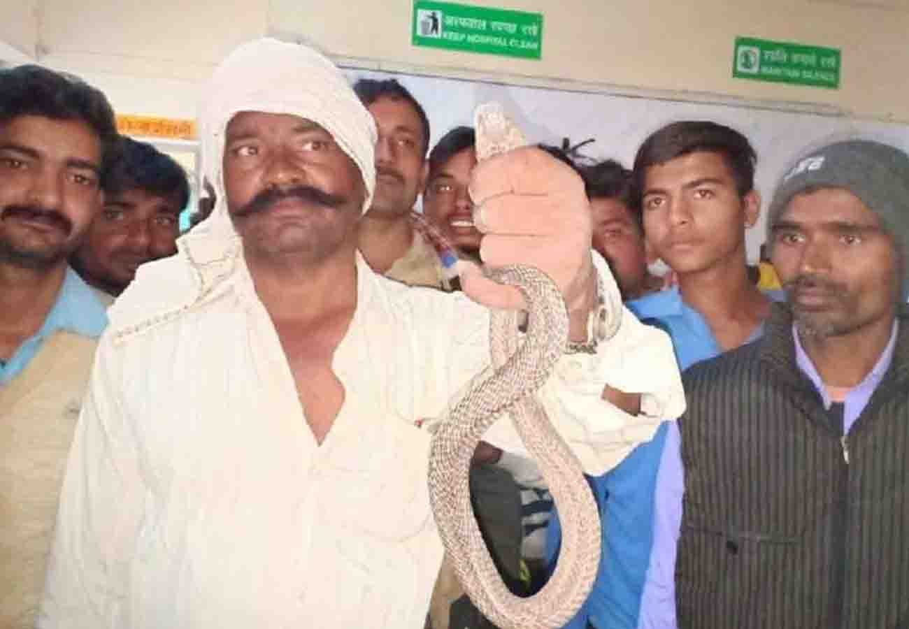 farmer reached to hospital with snake kannauj