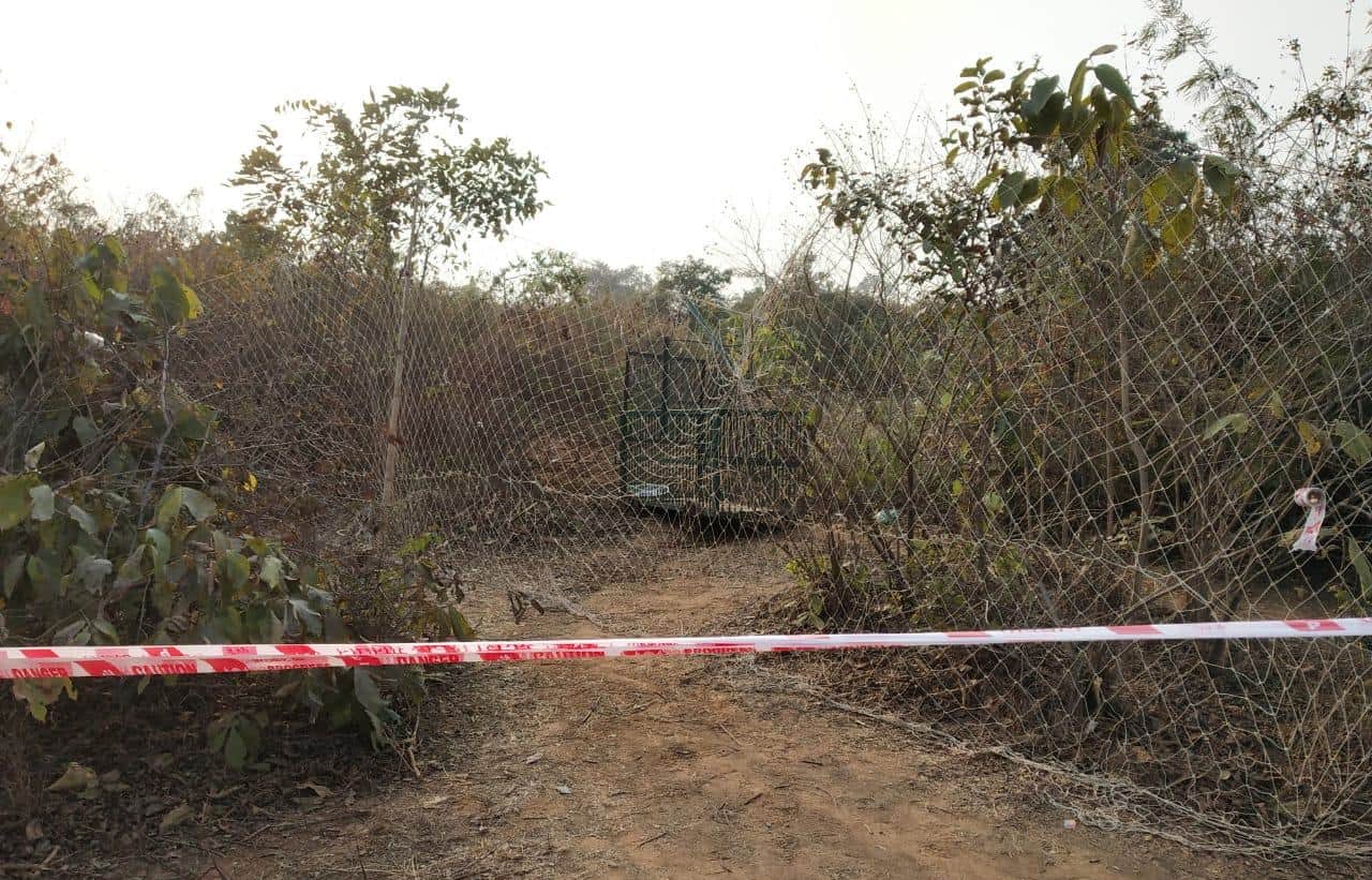 Injured leopard finally caught by forest team in chandauli