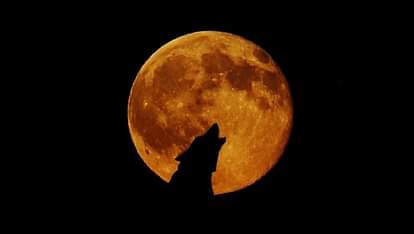 Pictures of Super blood wolf moon in world