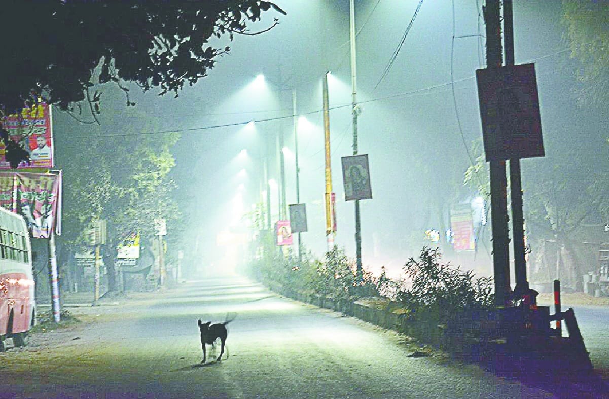 Fog breaks at the speed of trains, 13 trains late
