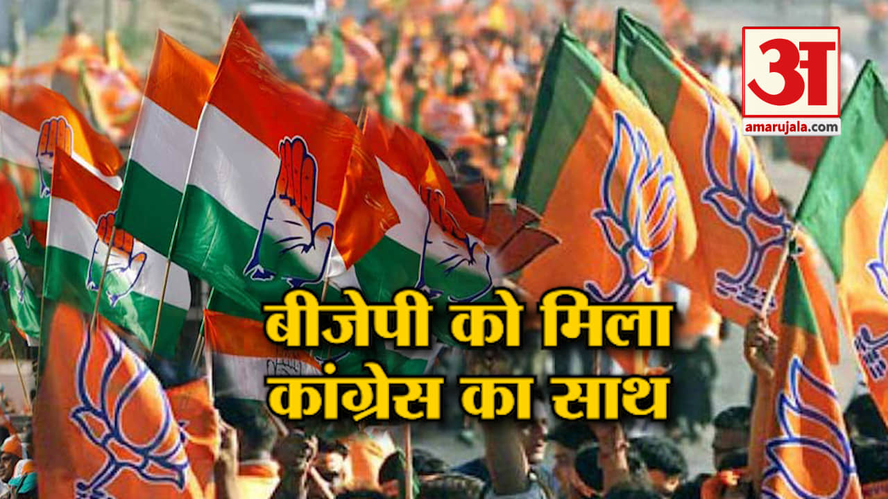 बीजेपी कांग्रेस