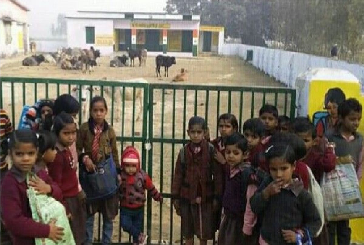 Villagers of Shahjahanpur closed cattle in school