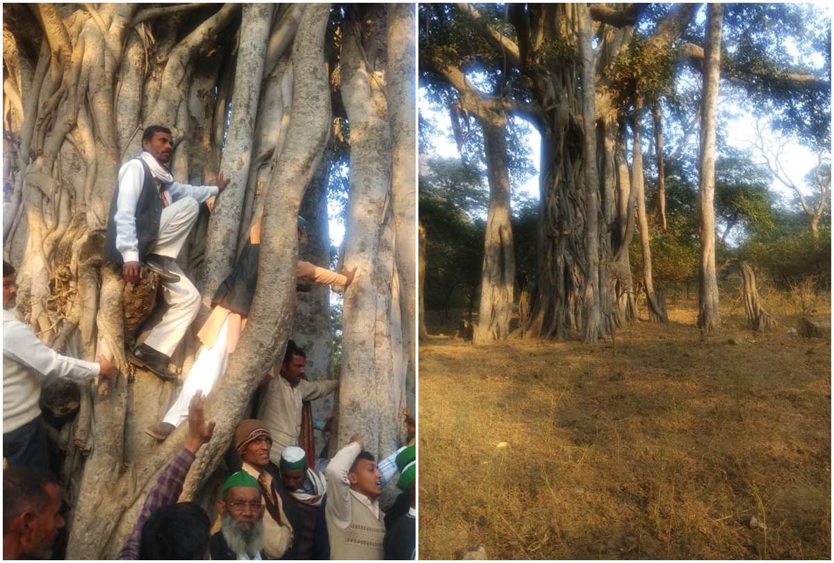 new chipko andolan started in Sambhal
