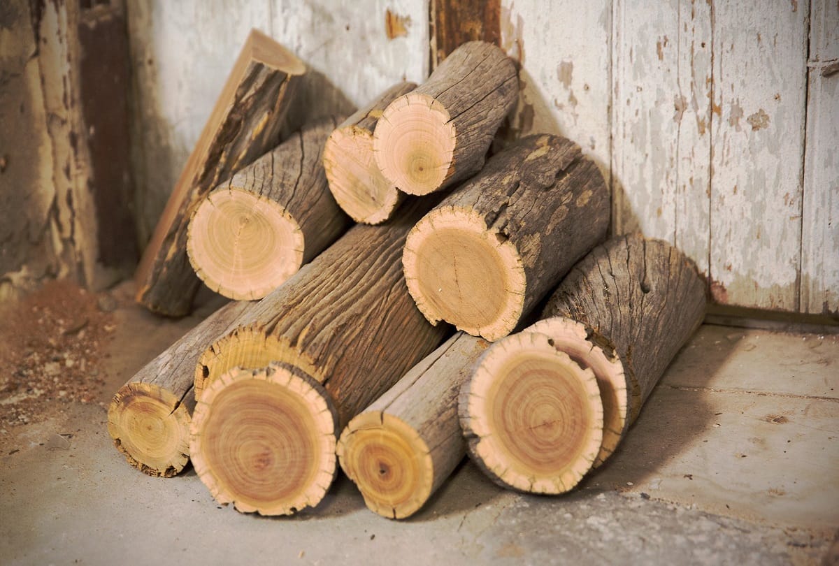 Sandalwood tree stolen from family court judge kishan gujjar home