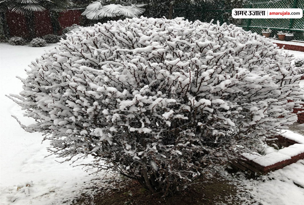 Severe winter in Leh and Kargil, people Troubled with winter in Srinagar jammu kashmir