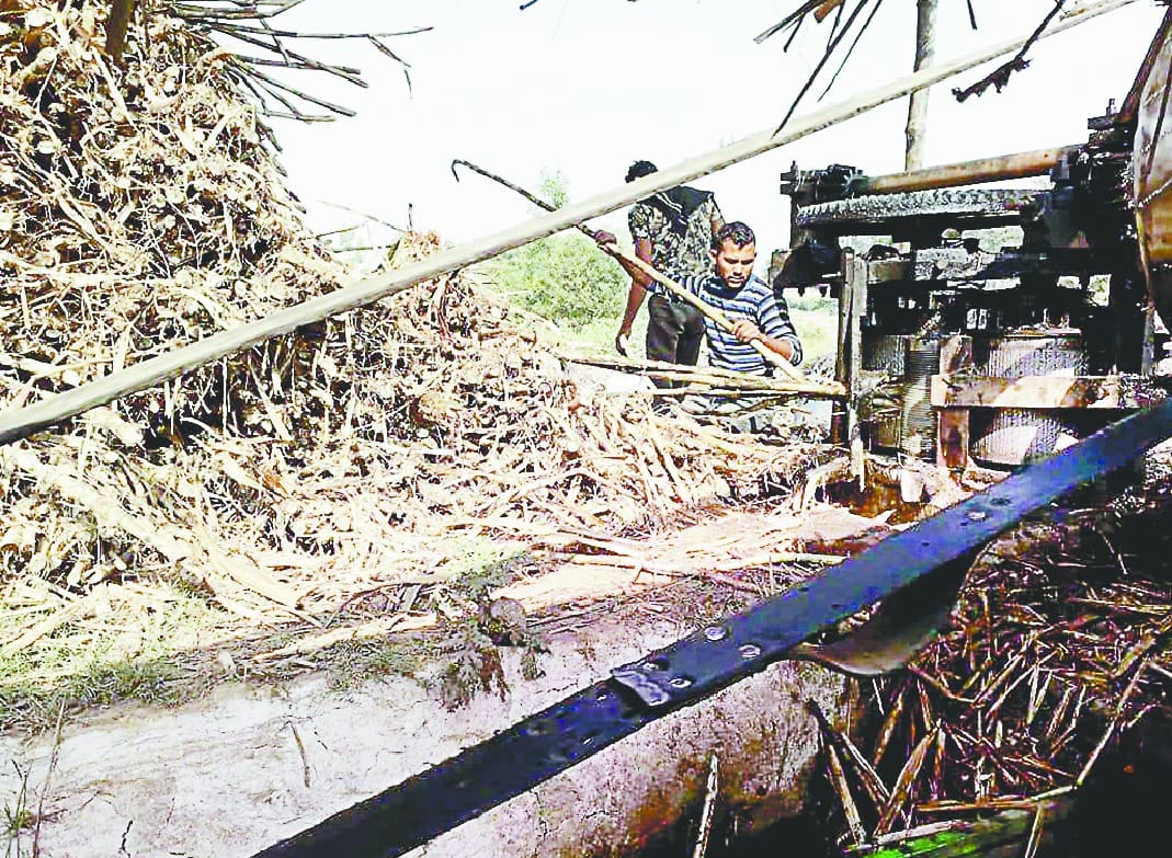 Prices of junk sugarcane rising, crusher also increased