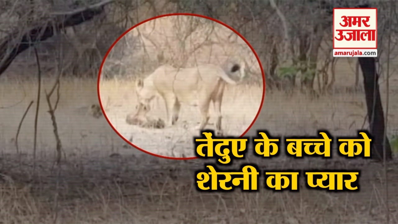 इंडिया न्यूज