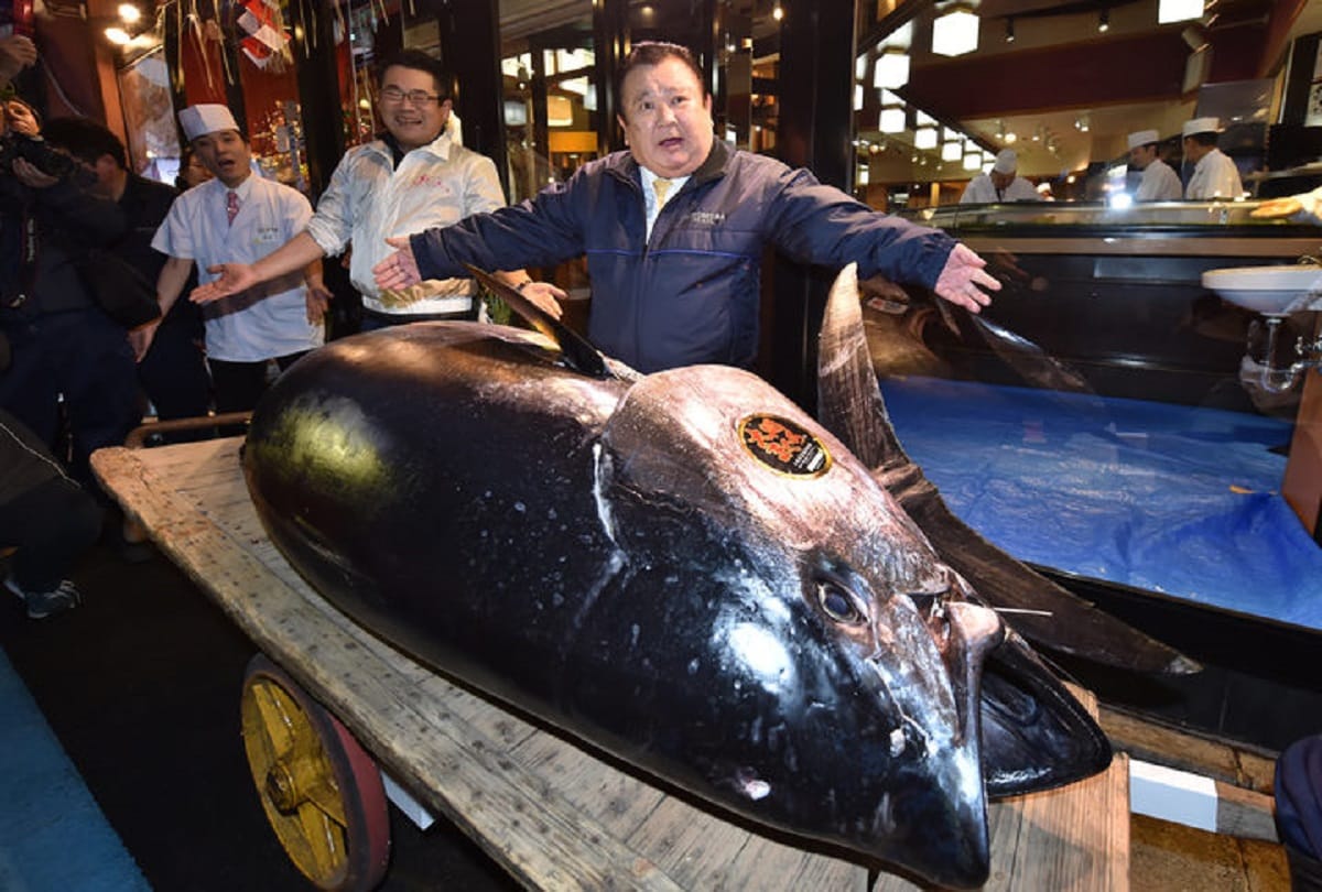sushi tycoon kiyoshi kimura buys bluefin tuna fish at more than 21 crore