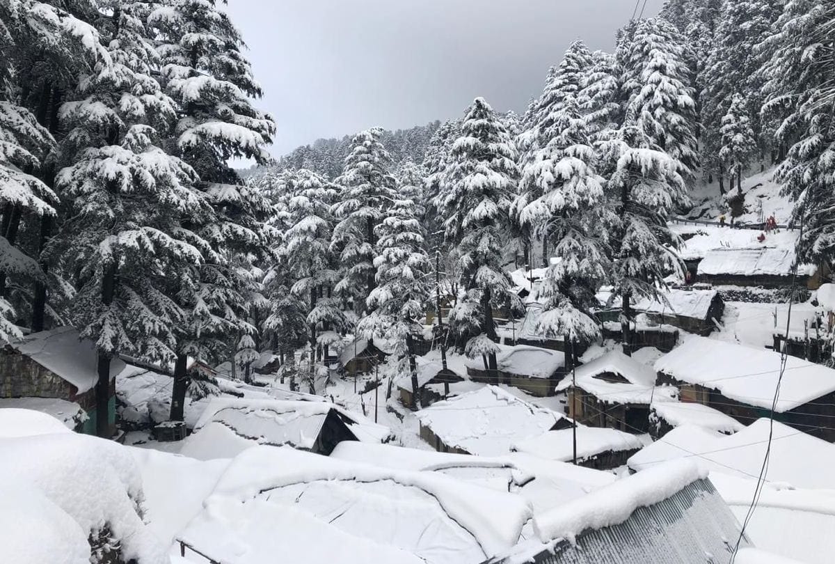 heavy snowfall and rain red alert in Himachal pradesh