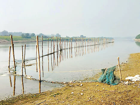 Hunting in the Yamuna by planting mosquito nets
