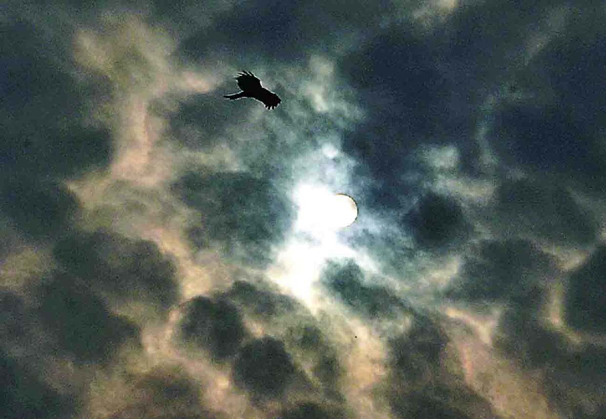 Meteorological Department warns of rain in winter season