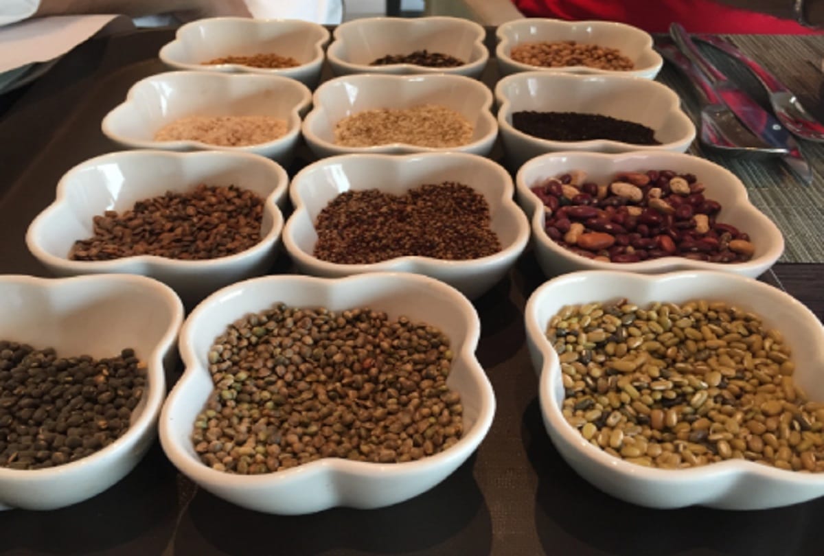 uttarakhand food festival know popular food