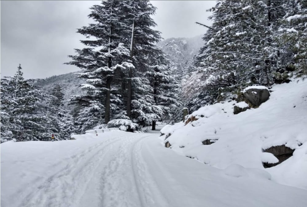 Dense fog rain and snowfall alert in uttarakhand for next 24 hours