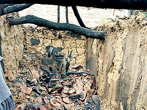 11 animals dead burnt alive in raw house