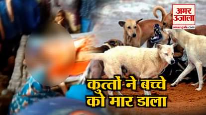 stray dogs killed 4 year old child in UP's Sambhal